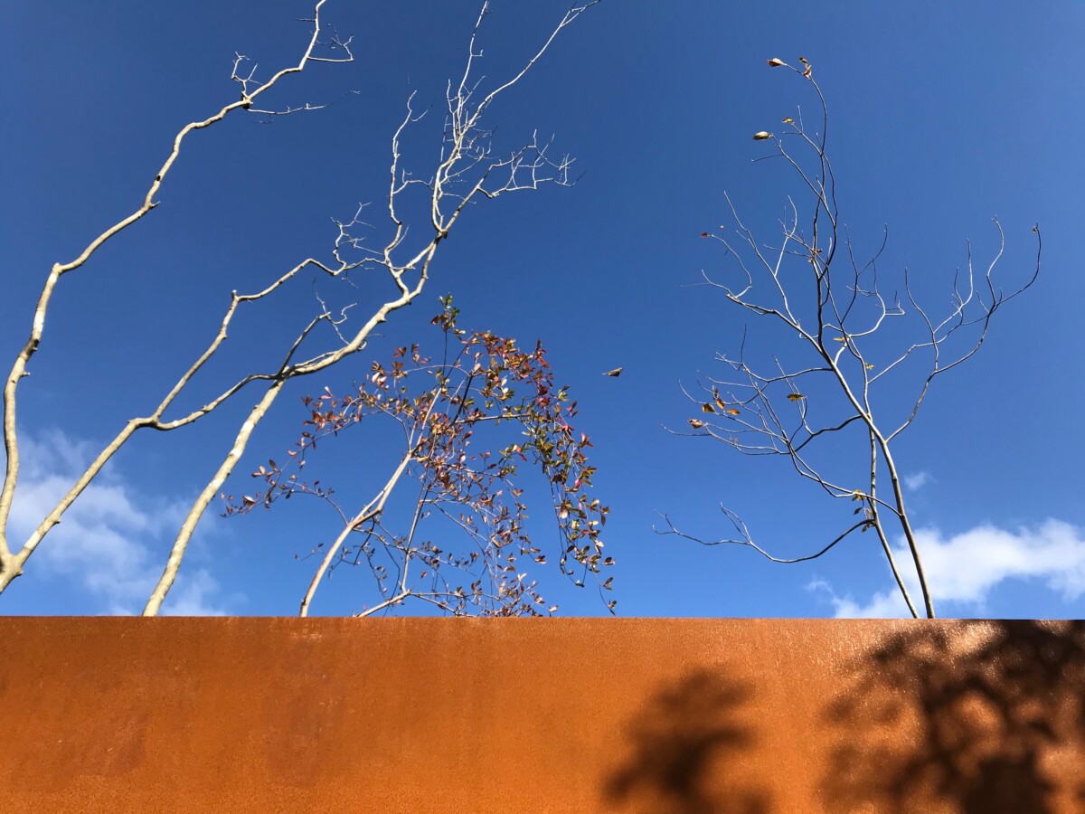 亀岡市・コルテン鋼とモルタル塀の庭|グリーン+ガーデン タマンサリ 施工例